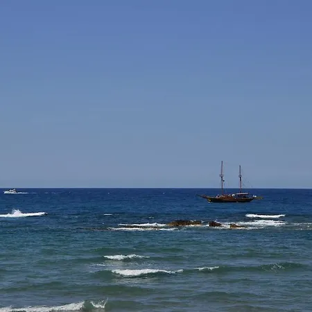 Seagull Διαμέρισμα *